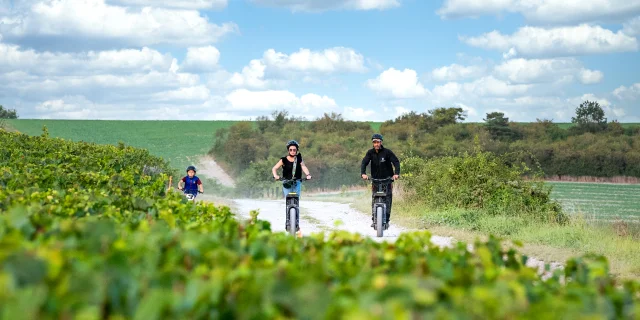 Trottinette Electrique Vignoble 4runners