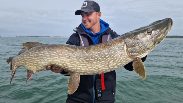 Brochet - Lac du Der