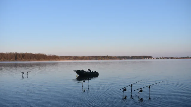 Der Karpfen, der Star des Sees Fremdenverkehrsamt Lac du Der en Champagne
