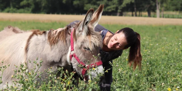 Jeune femme souriante près d'un âne