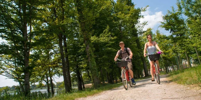 Deux personnes faisant du vélo dans l'allée d'un camping